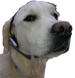 Penny wearing a headset